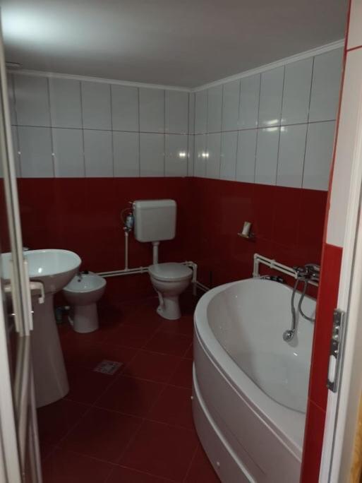 Ferienwohnung Casa Pelerinului Capatineni-Paminteni Exterior foto